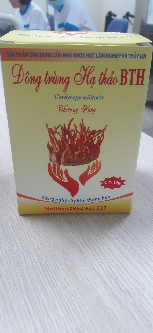 đông trùng hạ thảo công nghệ sấy thăng hoa BTH