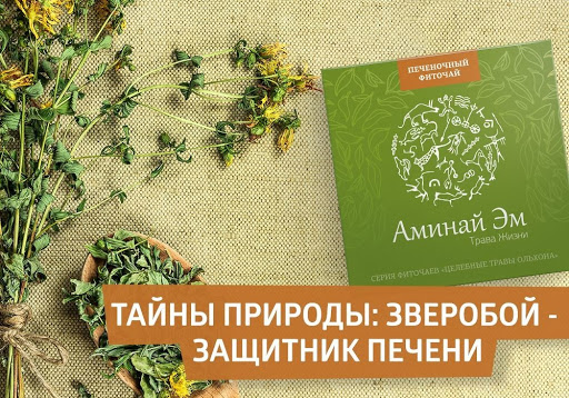 Trà thải độc gan Aminai Em- Siberia