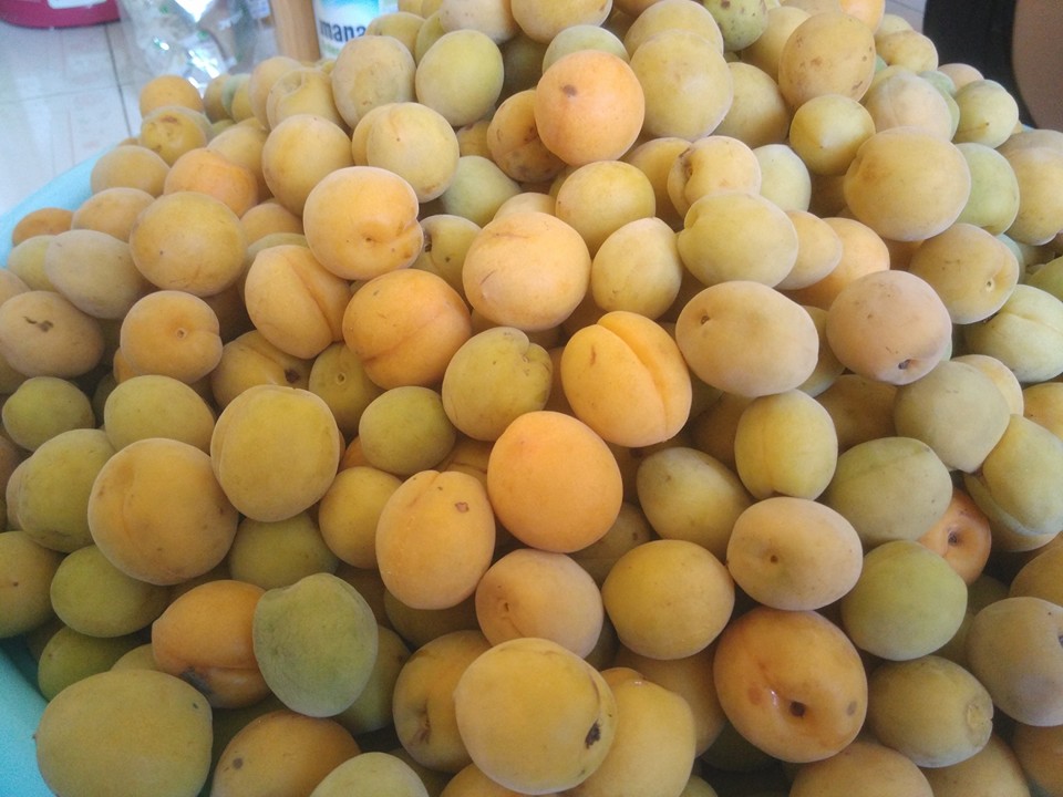 [HCM]MƠ NGÂM ĐƯỜNG HÀ NỘI