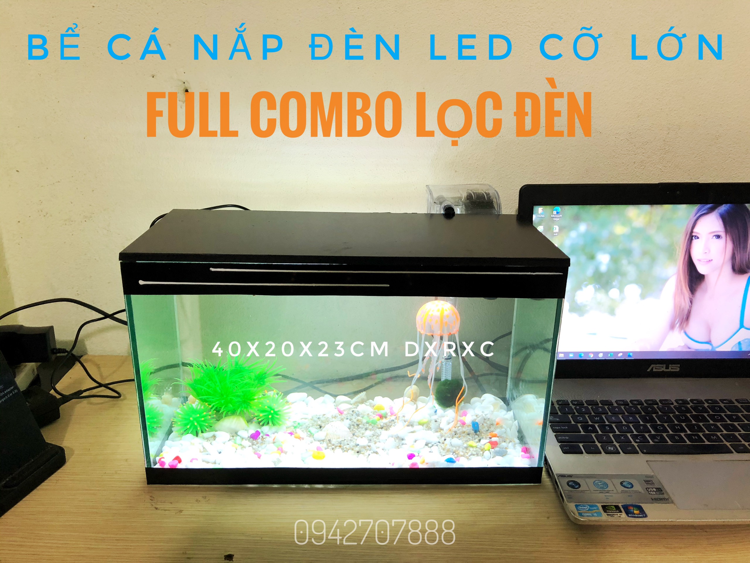 Set bể cá mini có lọc kèm nắp đèn và 8 món( bể, lọc, cây, sỏi màu, vỏ sò biển, nắp đèn led, ,sứa silicon ,thức ăn cá)