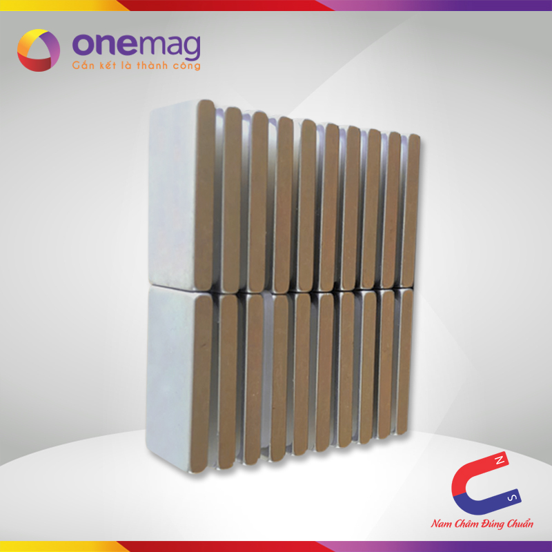 Bộ 10 viên nam châm đất hiếm hình chữ nhật 24x14x3mm chịu nhiệt cao