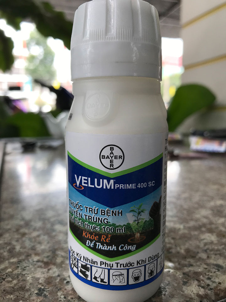 VELUM PRIME 400SC THU.ỐC T.RỪ BỆNH TUYẾN TRÙNG 100ML - VELUM PRIME 100ML