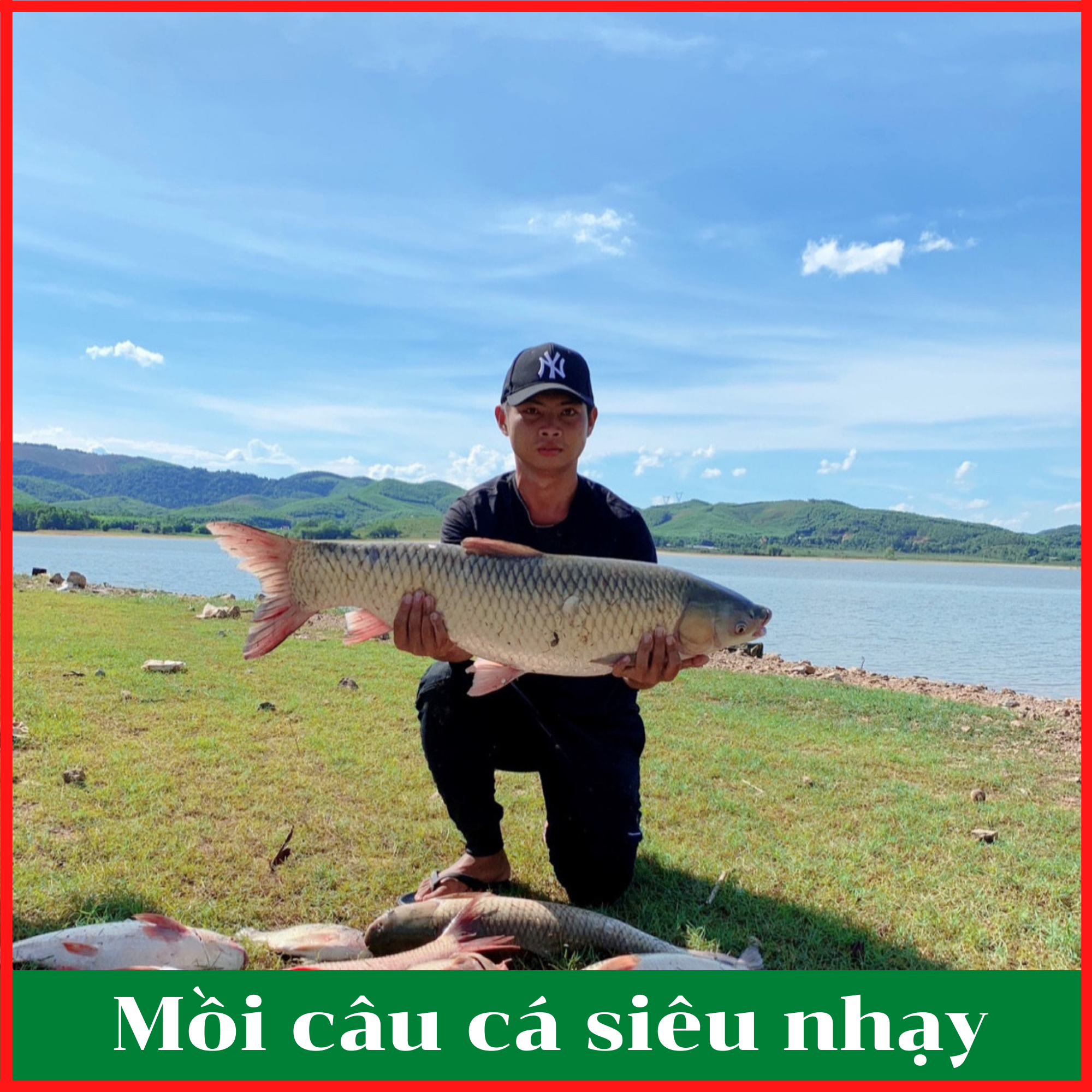 Mồi câu LK HÒA cực nhạy chuyên câu cá chép, trắm cỏ, trắm ốc, trôi, rô phi, mè