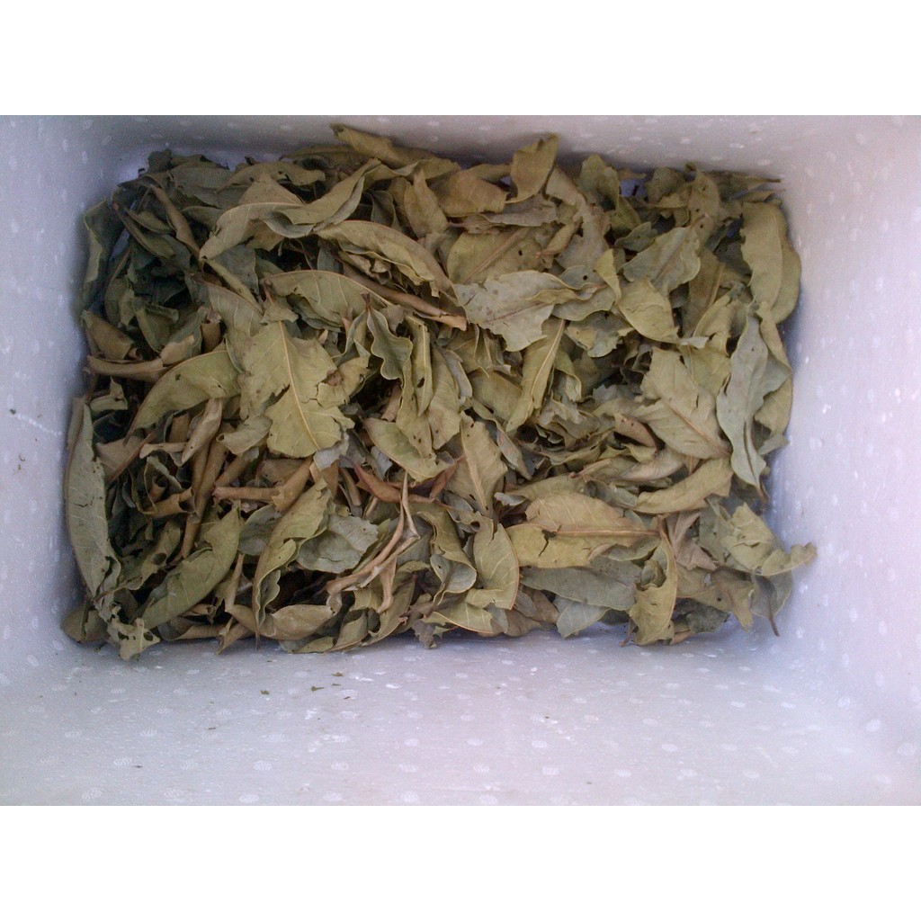 Lá Trầu Không khô (500g)