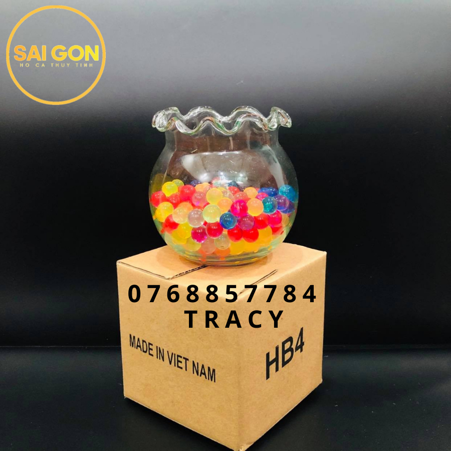 Bể nuôi cá HB4 hồ trồng cây thuỷ tinh mini để trang trí trong nhà SG-H15