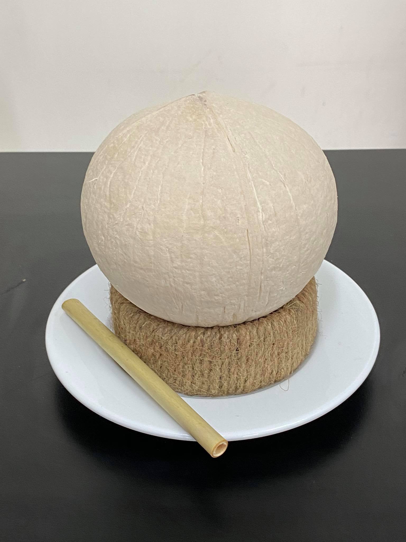 Dừa trọc