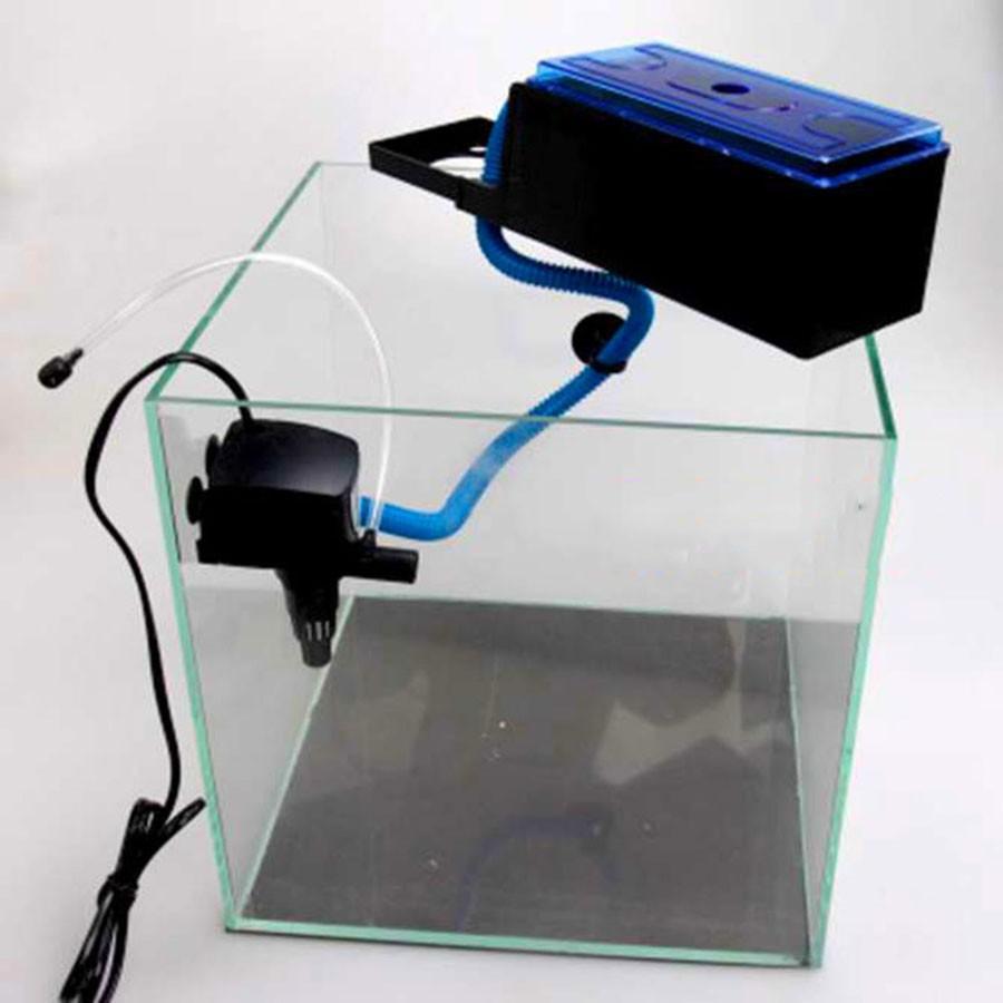 Hệ Thống Lọc Nước Bể Cá Cảnh Hiệu Quả. Hồ Koi Mini. Giá Bể Cá Kiểng Mini. Máy Lọc Nước Cho Bể Cá Kiểng. BH Uy Tín 1 đổi 1