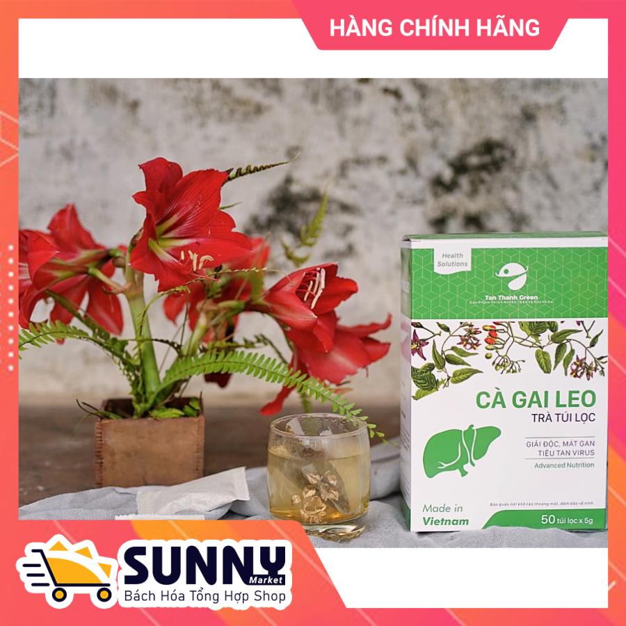 [HCM]Trà Túi Lọc Cà Gai Leo Tân Thành Green Gói 50 túi x 5g - Trà Thảo Dược - Bổ Gan Giảm Tổn Hại Gan Do Bia