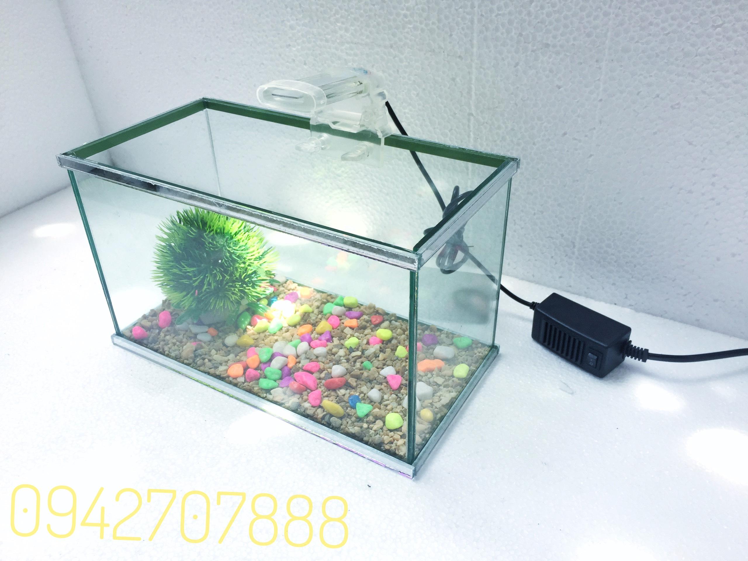 set bể cá mini 25x13x15 và đèn led mini (tặng phụ kiện)