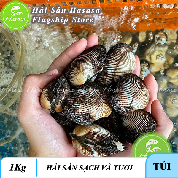 Sò lông nhung phan thiết sống - loại lớn - túi 1kg - giao hàng ngay tại hcm, có nguồn dinh dưỡng cao, dễ dàng chế biến thành nhiều món ăn khác nhau