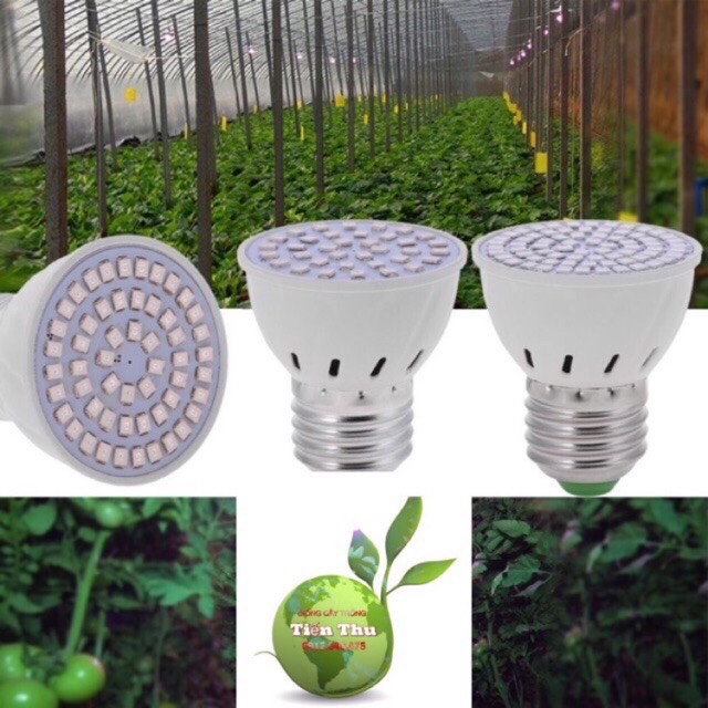 Set 3 chiếc đèn led quang phổ toàn phần trồng cây, cam kết hàng đúng mô tả, chất lượng đảm bảo, an toàn đến sức khỏe người sử dụng