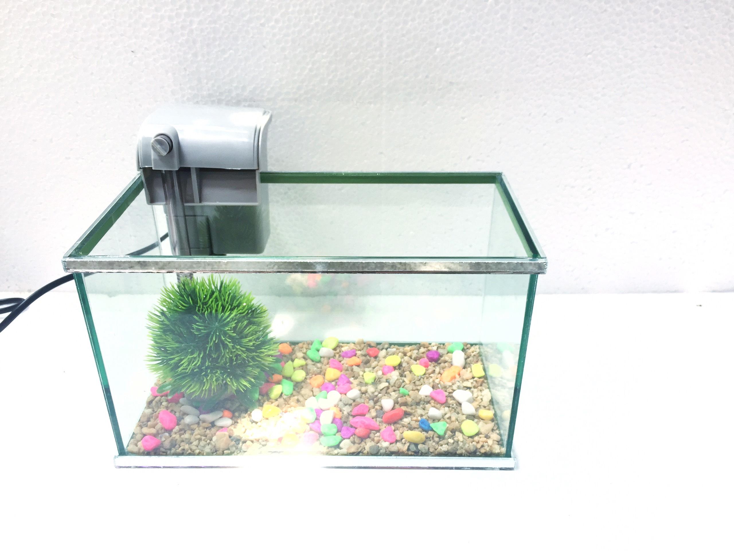 Set bể cá 25cm viền gương kèm lọc thác mini - bể cá mini viền gương (tặng cây và thức ăn)