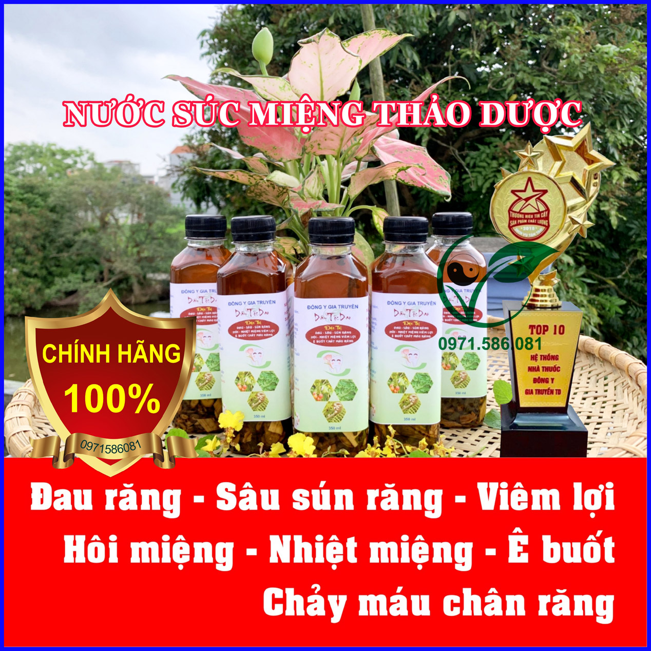 CHẢY MÁU CHÂN RĂNG - VIÊM LỢI - HÔI MIỆNG - SÂU RĂNG - NƯỚC SÚC MIỆNG THẢO DƯỢC