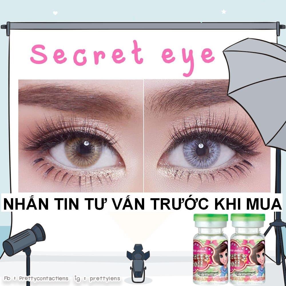 [HCM]Lens - Kính Áp Tròng Xám Tây Sử Dụng 1 Năm Tặng Kèm Khay Đựng Kiểu 9