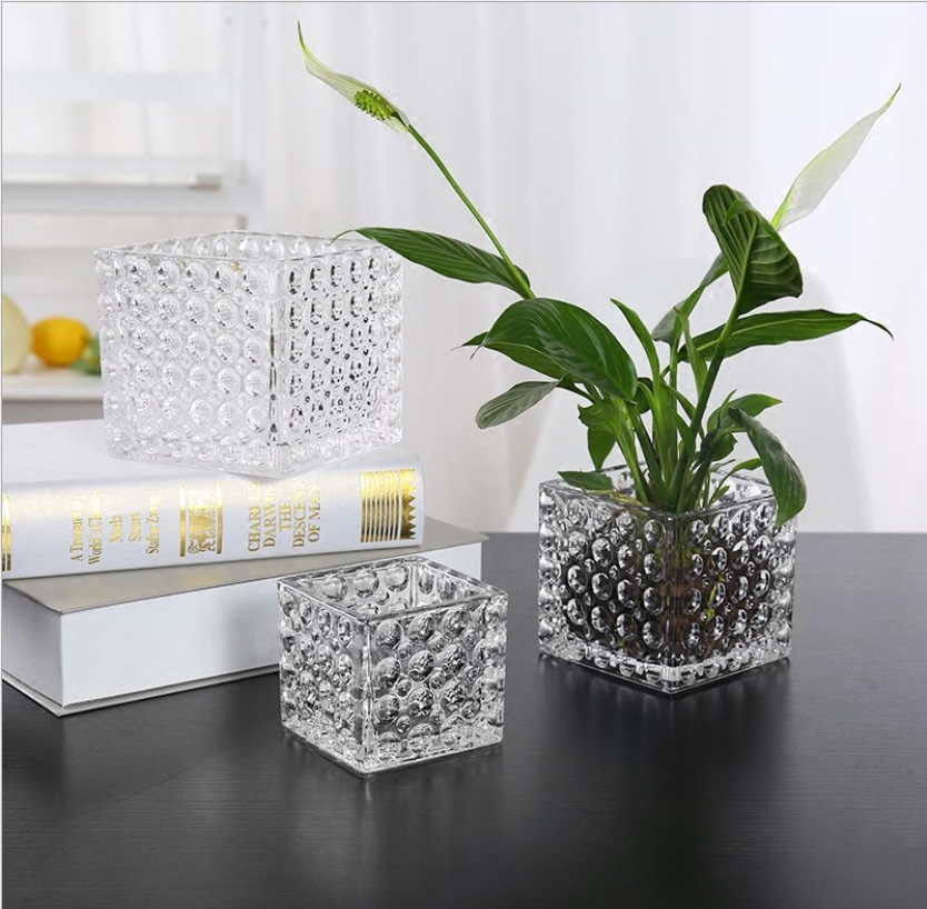 Bình hoa thủy tinh vuông họa tiết chấm bi tròn - lọ cắm hoa vuông