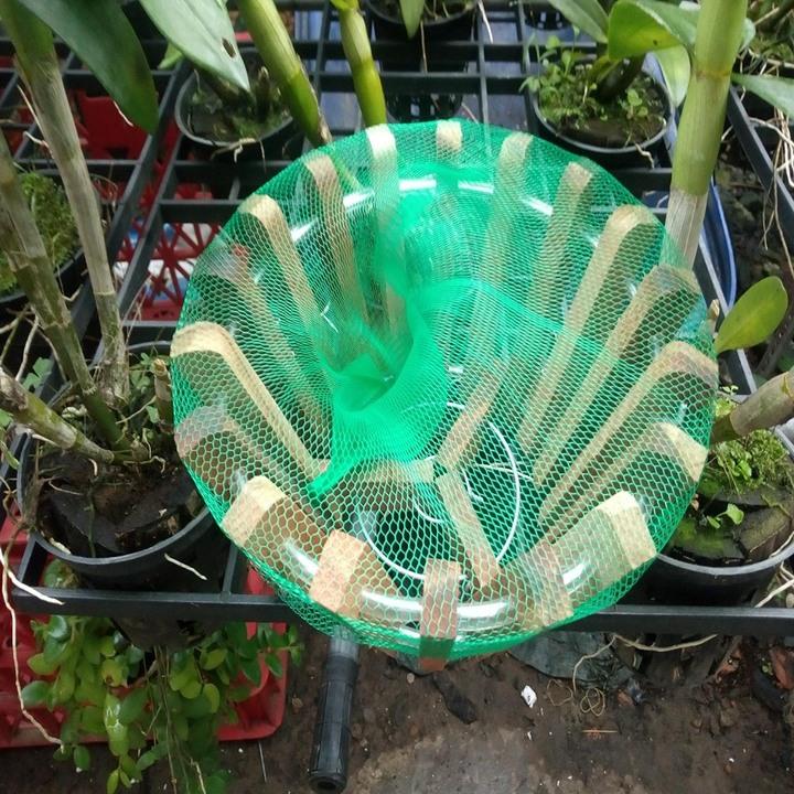 10 túi lưới lót chậu trồng lan