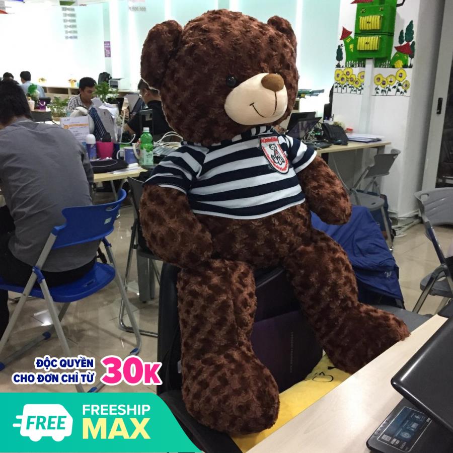 Gấu Bông Teddy Khổ vải 1m cao 80cm - Quà tặng dễ thương