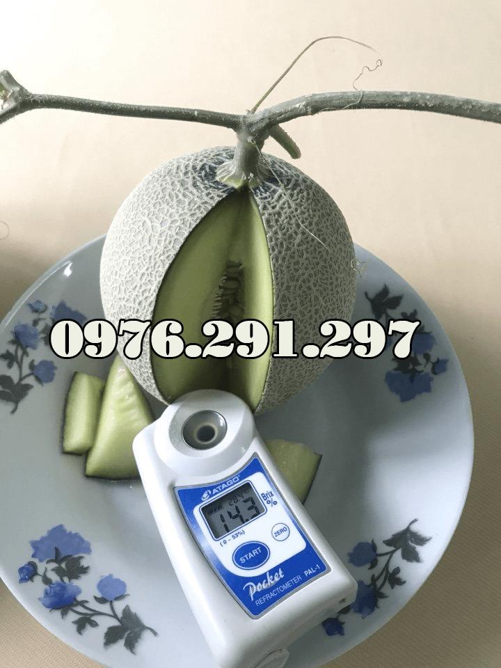 Máy đo độ ngọt điện tử Pal 1 Attago - Nhật Bản