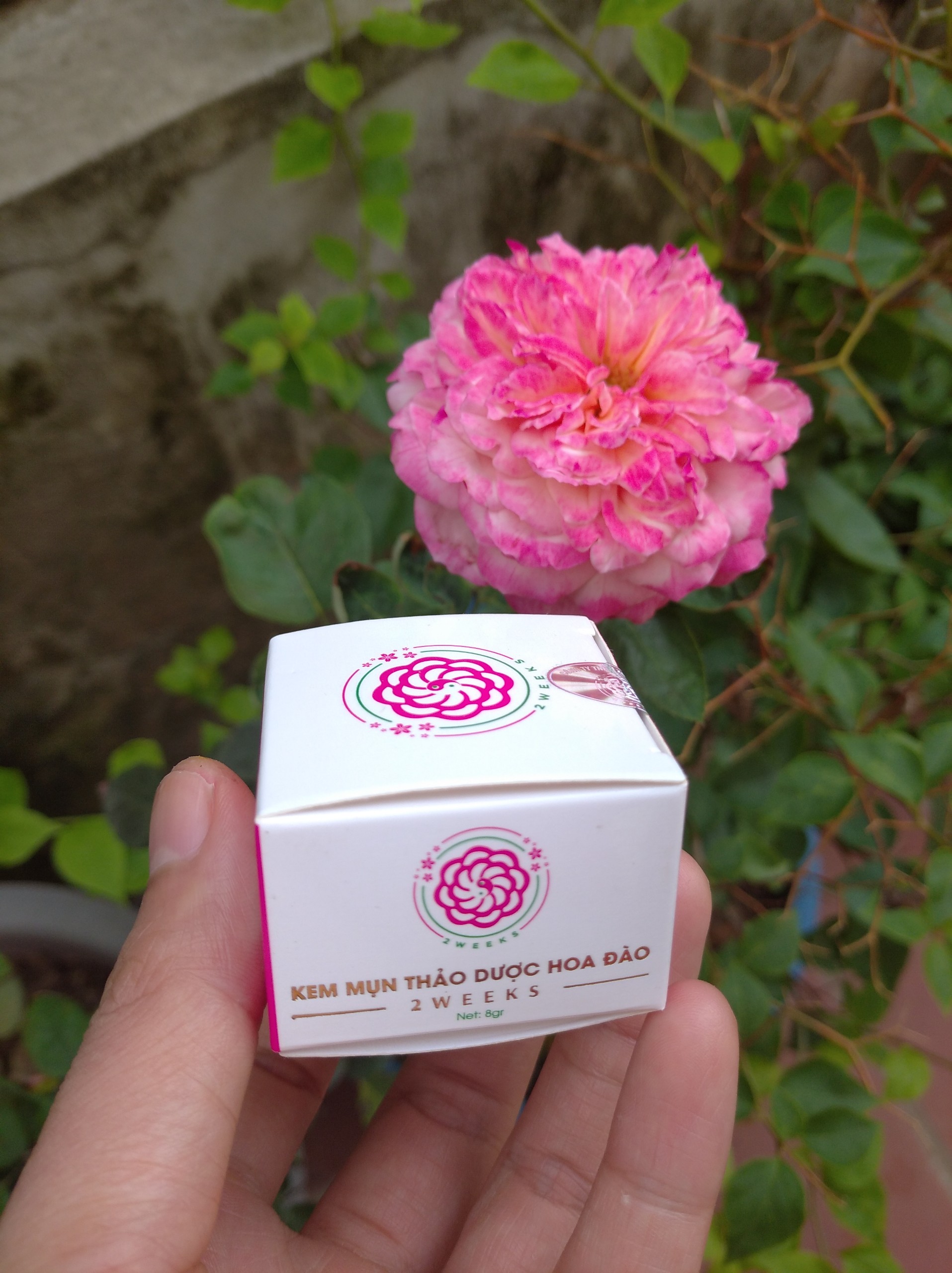 Combo 05 hộp Kem mụn Cao Hoa Đào