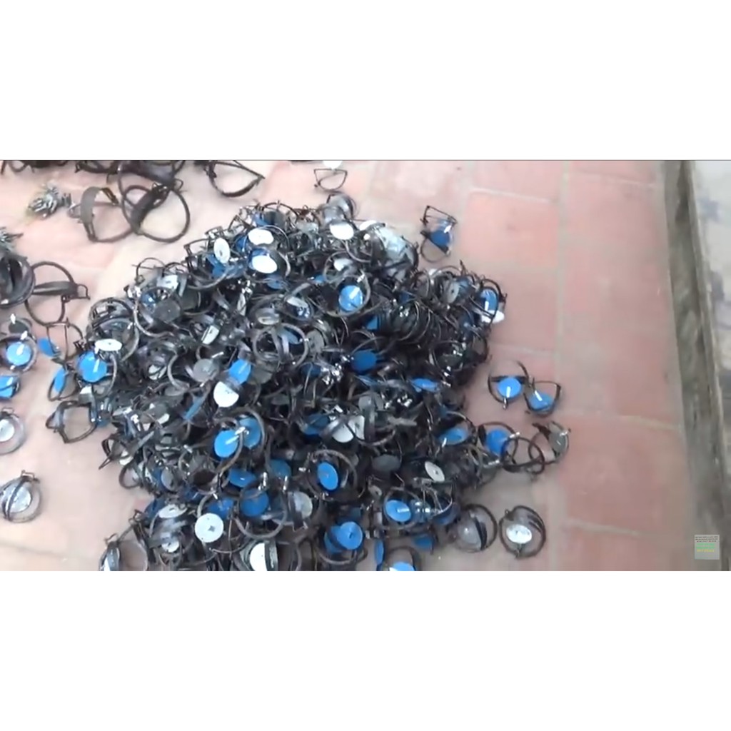 combo 30 cạm bẫy chuột