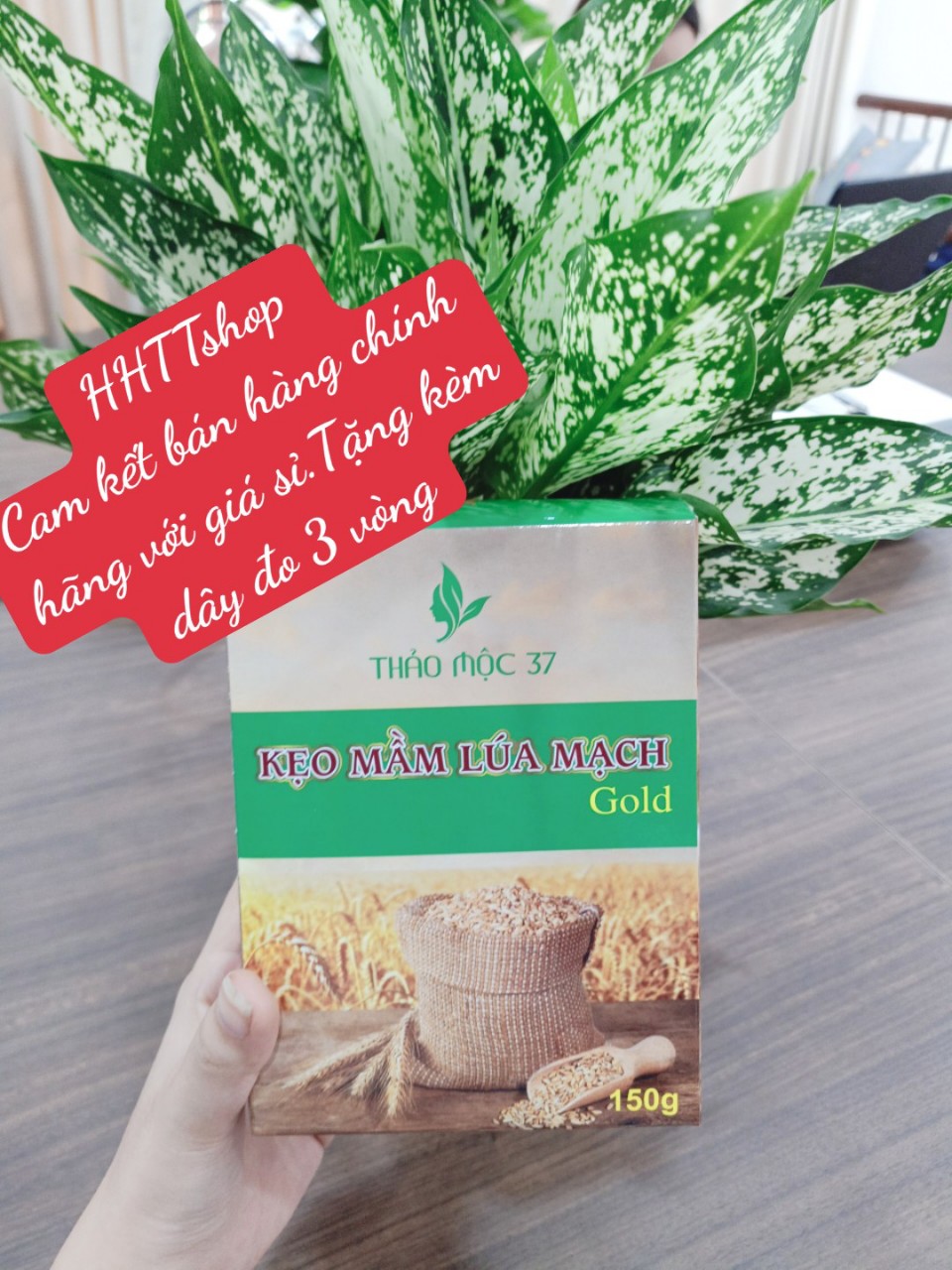 [ COMBO 10 hôp ] Kẹo mầm lúa mạch gold Thảo Mộc 37+ Tăng zize vòng 1