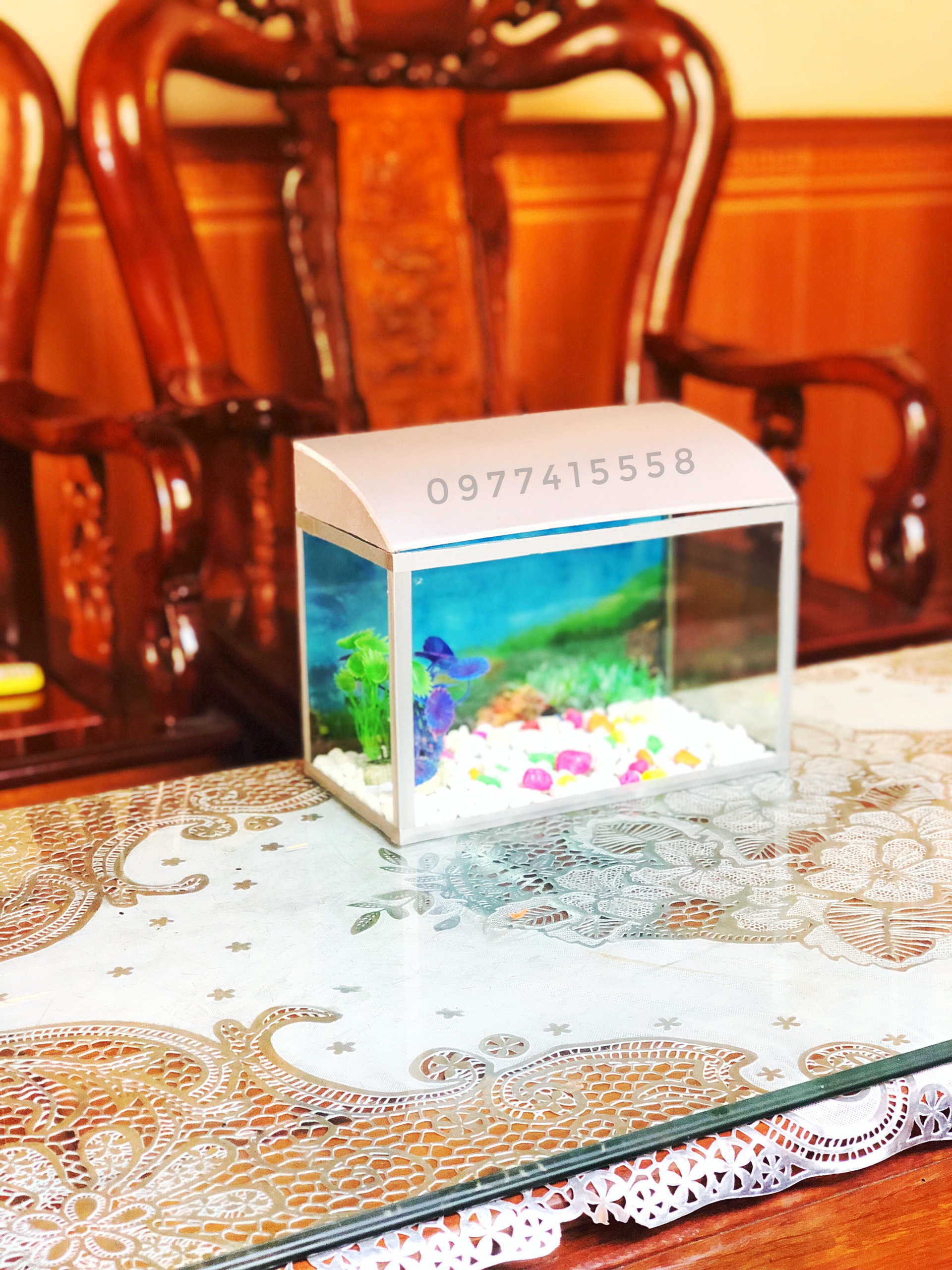 [hot hot] Bể cá mini có nắp đậy cỡ 28*15*18cm