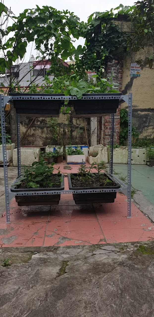 Kệ sắt trồng rau thông minh 2 tầng dùng cho 4 khay trồng rau kích cỡ 68x43x15 cm