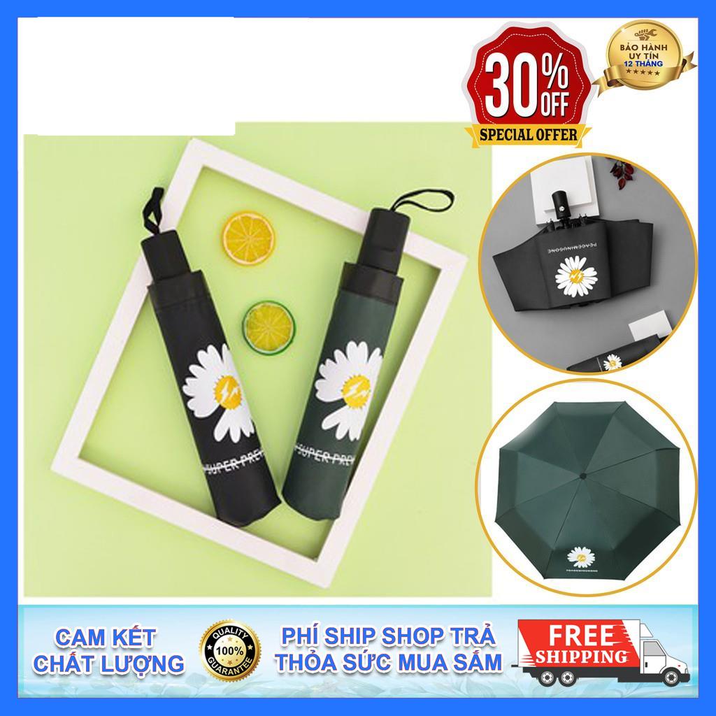 Ô dù chống mưa nắng hoa cúc chống tia uv bảo vệ da, dù cúc họa mi - hàng mới về cực đẹp