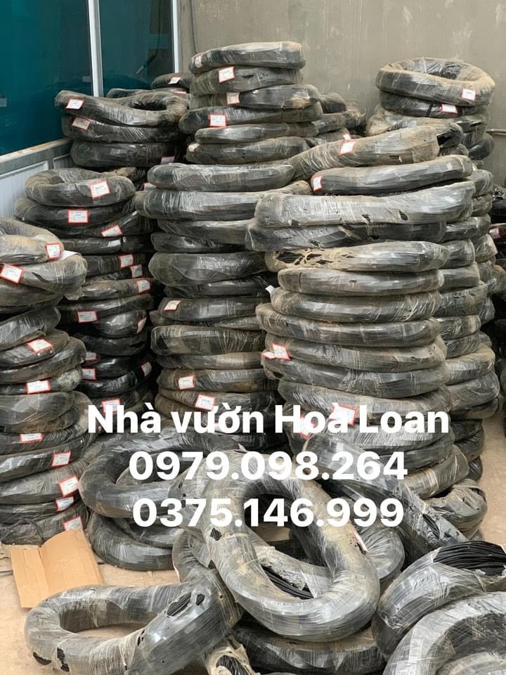 Dây nhôm uốn cây cảnh cao cấp 5li 500gr