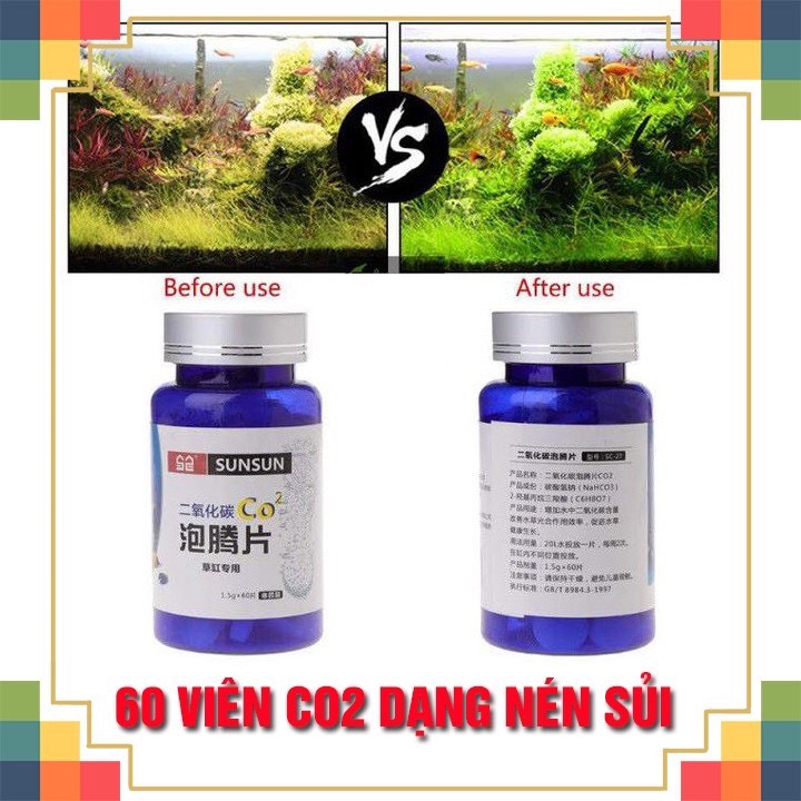 rbs viên nén CO2 SUNSUN cho bể cá thủy sinh - hộp 60 viên