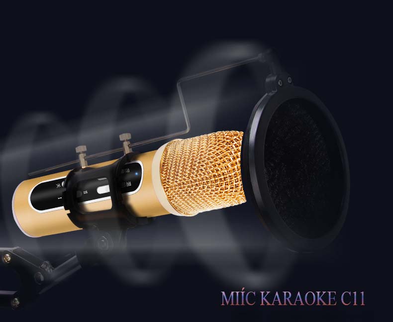 Bộ mic thu âm livestream cực chất C11 cho giới trẻ Micro Karaoke Livestream cực