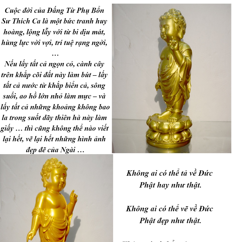 HCM]Tượng Đức Phật đản sanh cao 24cm-Nhiều mẫu. Màu sắc tượng được ...