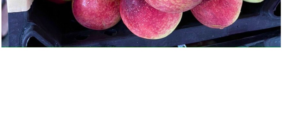 VG FARM Đào Tiên Ruột Vàng (500g/1KG)