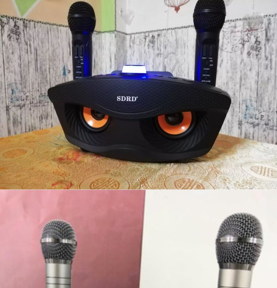 Loa Karaoke Bluetooth SDRD SD 306 Plus Siêu Rẻ Loa Mắt Cú Nâng Cấp Tặng