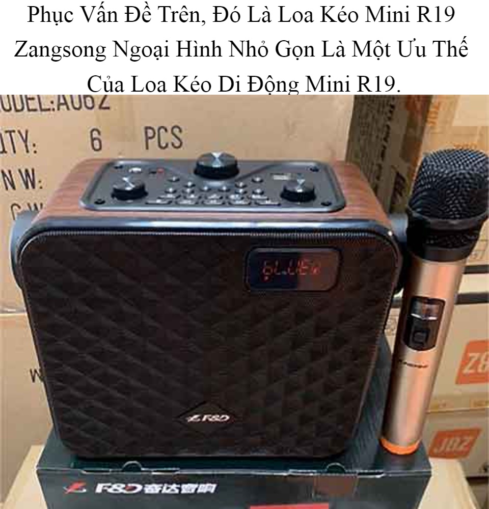 Loa Karaoke Bluetooth F&D R-19 Zangsong Siêu Rẻ Tặng 1 Micro Không Dây Chất Lượng