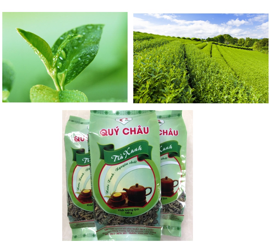 [hcm]trà xanh nguyên chất - loại 1 - trà sấy khô nước xanh ngọt hậu (gói 250gr) 2