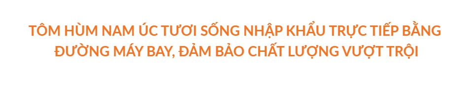 Tôm Hùm Đá Nam Úc loại 0.8-1 kg