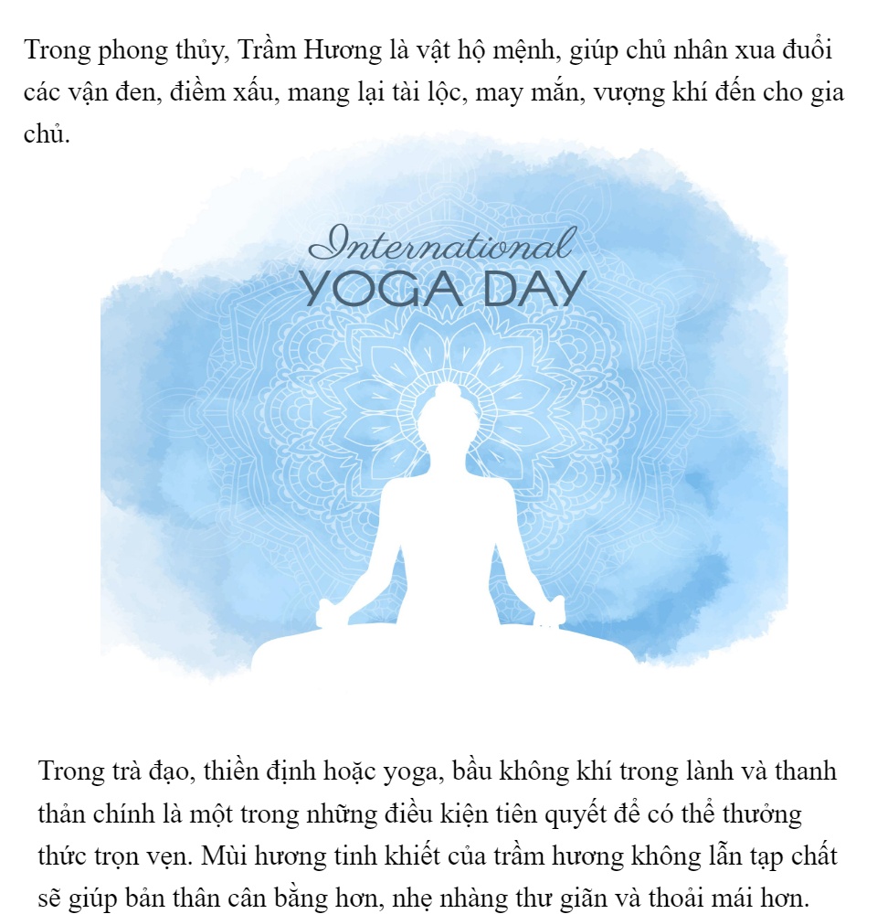Nhang trầm hương Tân Nguyên, hương trầm sạch, nhang trầm cao cấp ngắn 23cm phù hợp nhà chung cư, trần thấp, hẹp