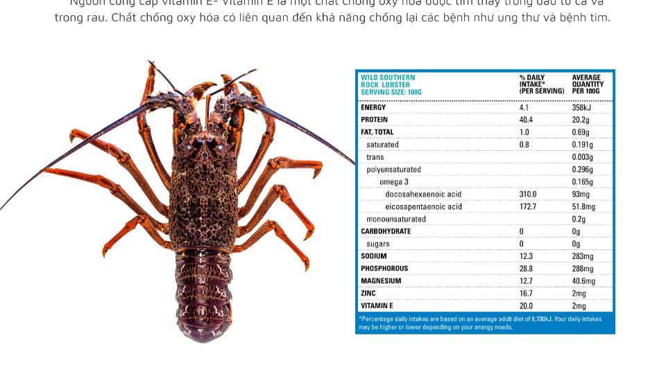 Tôm Hùm Đá NAm Úc Đông Lạnh size 800g - 1 kg