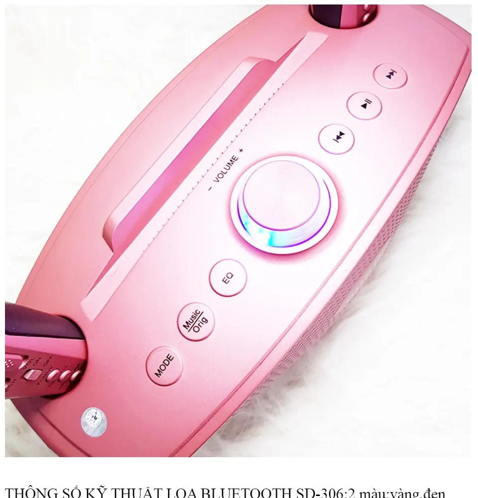 Loa Karaoke mini 2 mic kết nối bluetoothMic Đôi Hát Karaoke Loa Bluetooth karaoke kèm 2 mic SDRD-306 cao cấp Loa Karaoke Mắt Cú