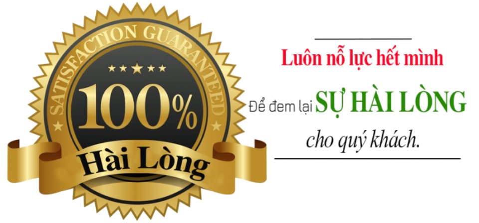 Quần lót hoa cúc tui zip cao cấp 13