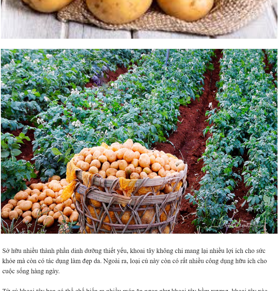 Khoai Tây Đức Trọng – Lâm Đồng ( 500G/1KG )