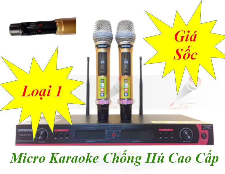 Bộ micro karaoke gia đình giá rẻ - Mua Ngay BỘ 2 MICRO KARAOKE KHÔNG