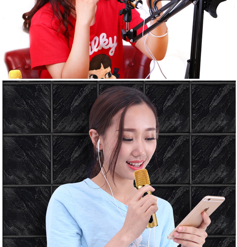 Mic Thu Âm Chuyên Nghiệp Cao Cấp C11 Hát Karaoke Livestream Bán Hàng Mic Thu