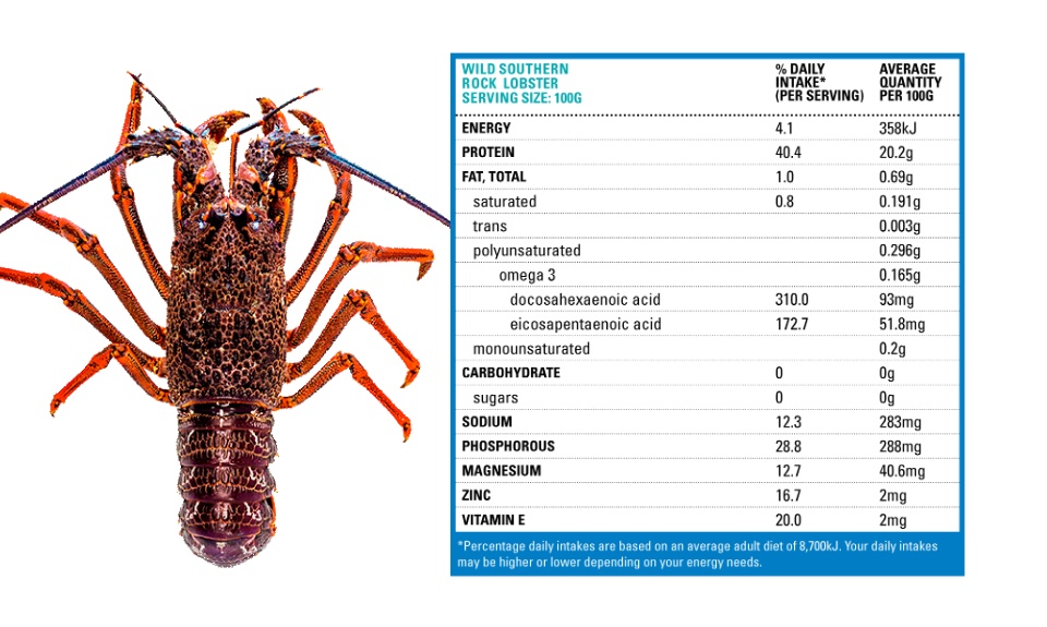 Tôm Hùm Đá Nam Úc loại 0.8-1 kg