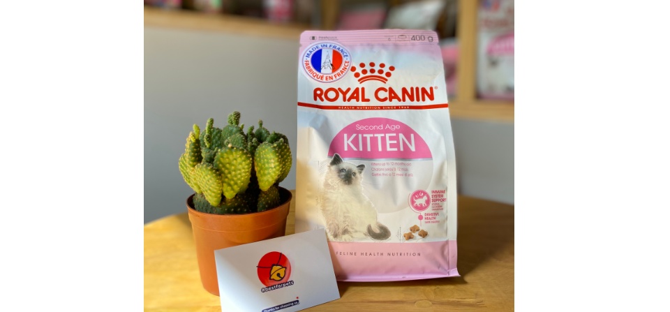 Thức ăn cho mèo Royal Canin Kitten - nhập khẩu chính hãng