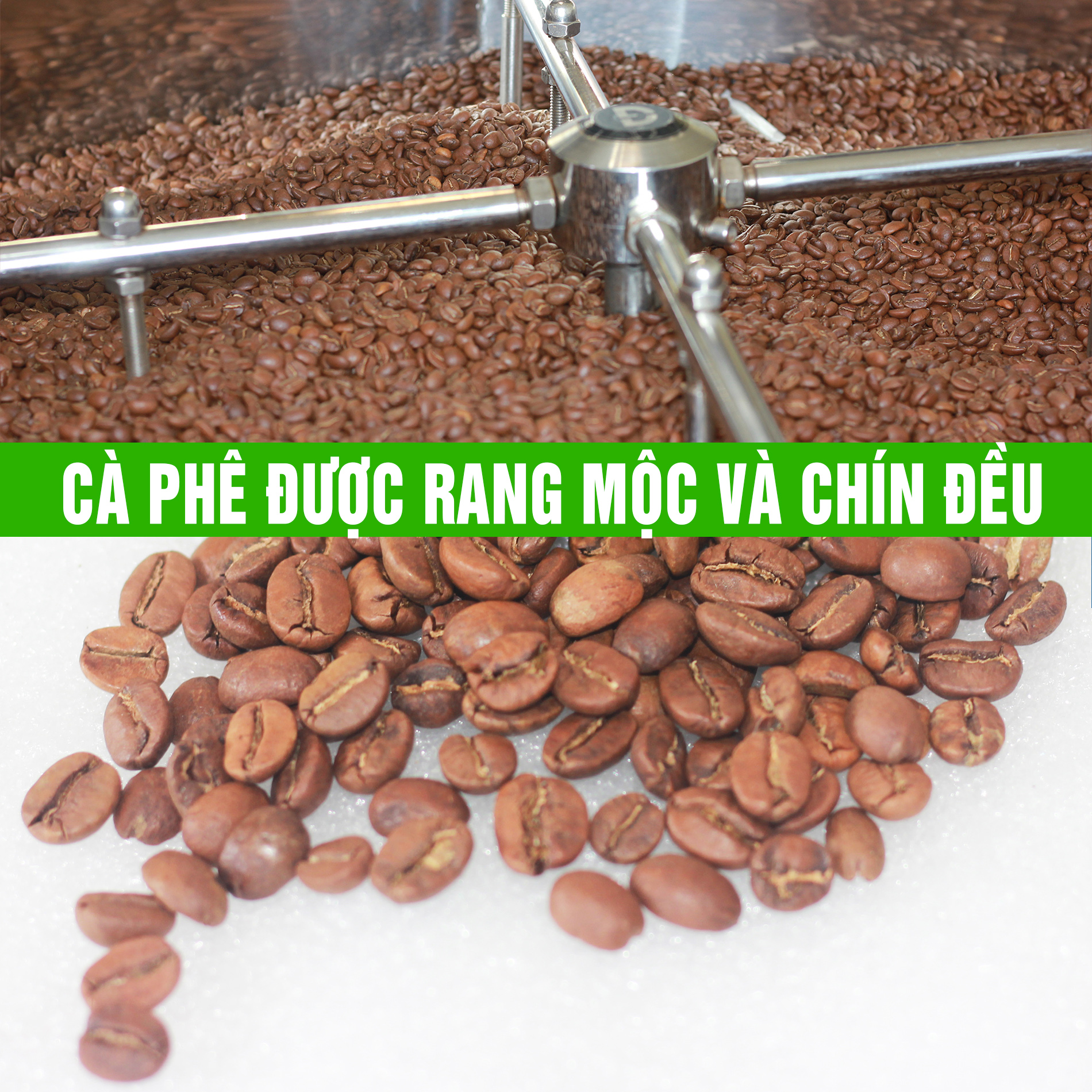 coffee 1kg cà phê rang mộc gói đậm gu thành phần 80% robusta + 20% arabica - cafe ngon nguyên chất đến từ đắk lắk - 2 gói mỗi gói 500gr - cam kết nguyên chất - xay sẵn dùng pha phin 7