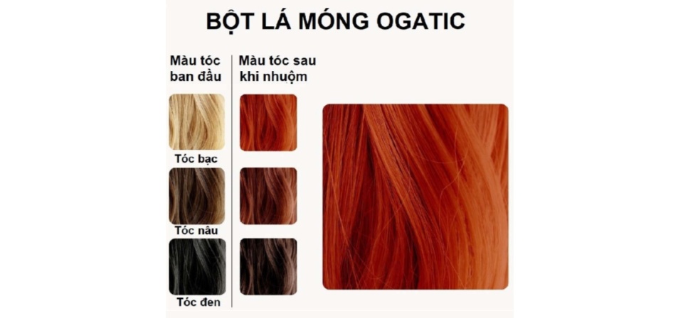 BỘT LÁ NHUỘM TÓC PHỦ BẠC Thuốc nhuộm tóc OGATIC