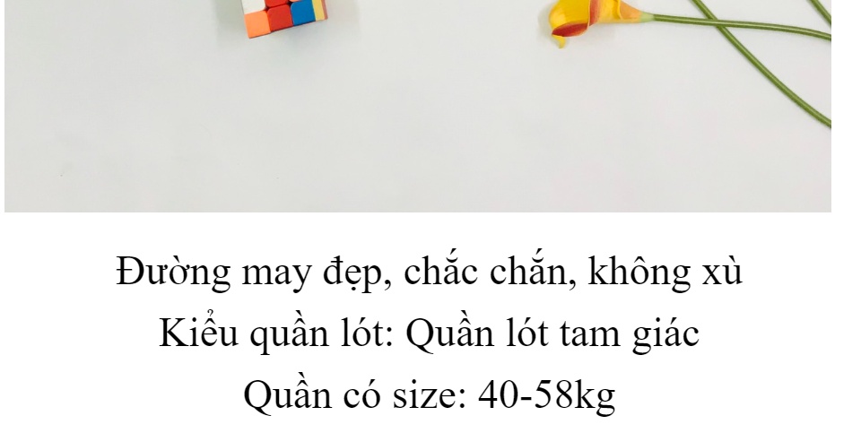 Quần lót hoa cúc tui zip cao cấp 9