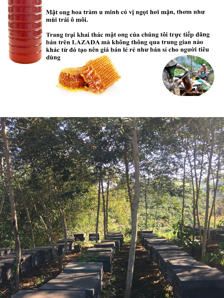 mật ong nguyên chất rừng tây nguyên 1000ml - mật ong đủ tiêu chuẩn xuất khẩu giá gốc tại trang trại 3